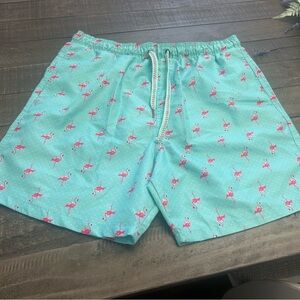 Flamingo Print Swim Shorts - Mint Green